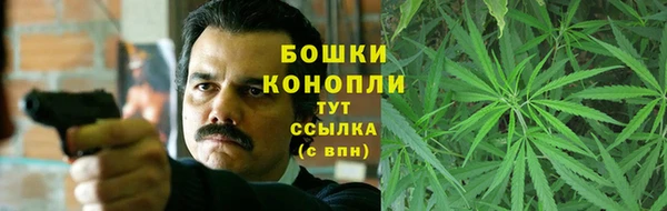 стафф Каменногорск
