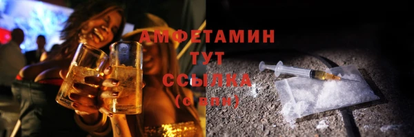 молекула духа Каменск-Шахтинский