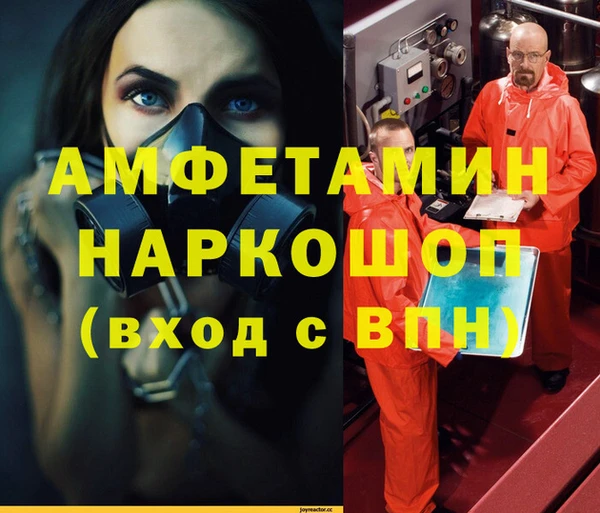 молекула духа Каменск-Шахтинский