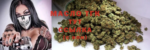 стафф Каменногорск