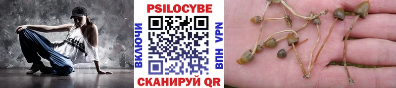 Галлюциногенные грибы MAGIC MUSHROOMS Обнинск