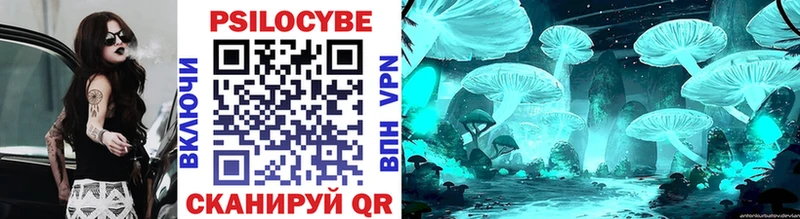 Галлюциногенные грибы Psilocybe  Обнинск 